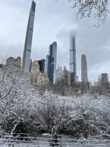 Central Park Hochformat